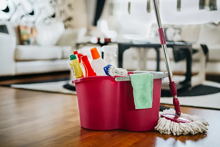 Home cleaning services